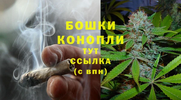 крисы Абдулино