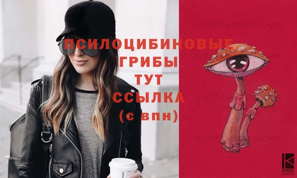 ешки Абинск