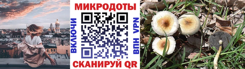 mega ссылки  Истра  Псилоцибиновые грибы прущие грибы  хочу наркоту 